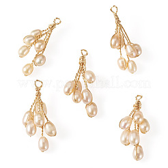 5Pcs Natural Cultured Freshwater Pearl Pendants&nbsp;PALLOY-TAC0322