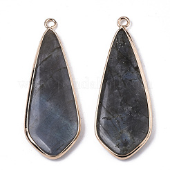 Natural Labradorite Pendants&nbsp;G-S359-108A