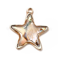 Brass Enamel Pendants&nbsp;KK-K252-10G-09