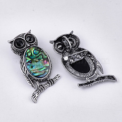 Abalone Shell/Paua Shell Brooches/Pendants&nbsp;RESI-S376-12