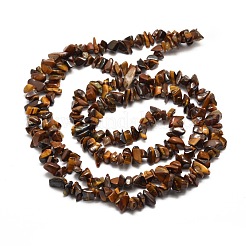 Natural Tiger Eye Chip Bead Strands&nbsp;X-G-M205-03