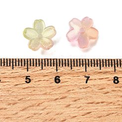 Acrylic Bead Caps&nbsp;OACR-I024-01E