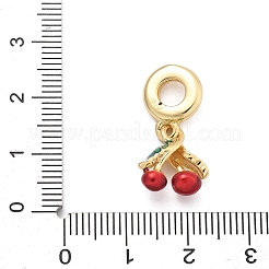 Brass Enamel European Dangle Charms&nbsp;KK-Q055-01G
