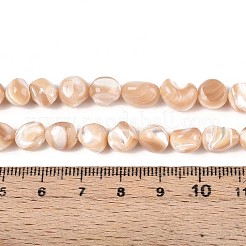 Natural Trochid Shell/Trochus Shell Beads Strands&nbsp;SSHEL-N040-13