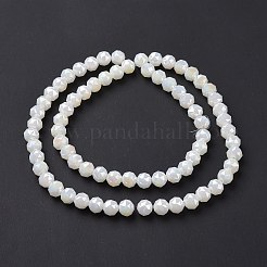 Electroplate Opaque Glass Beads Strands&nbsp;EGLA-H101-01F