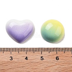 Gradient Color Opaque Resin Decoden Cabochons&nbsp;RESI-S04-02