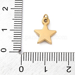 304 Stainless Steel Charms&nbsp;STAS-M110-11G