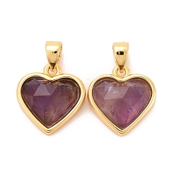 Natural Amethyst Charms&nbsp;G-E538-02G-03