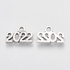 Tibetan Style Alloy Charms&nbsp;TIBE-T010-37AS-RS