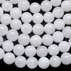 Natural Malaysia Jade Beads Strands&nbsp;G-L645-B01-10mm-01