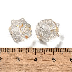 Transparent Glass Beads&nbsp;GLAA-D025-05H