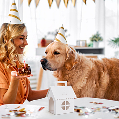 Paper Dog House&nbsp;AJEW-WH0696-169A