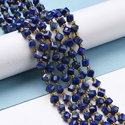 Natural Lapis Lazuli Beads Strands&nbsp;G-P463-25