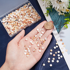 3 Strands Natural Shell Beads Strands&nbsp;SSHEL-NB0001-44B