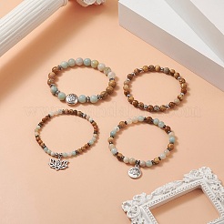 Natural Flower Amazonite & Picture Jasper Beaded Stretch Bracelets Sets with Non-Magnetic Synthetic Hematite&nbsp;BJEW-JB09281