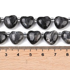 Natural Larvikite Beads Strands&nbsp;G-NH0069-A10