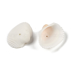 Natural Shell Beads&nbsp;SHEL-K009-15