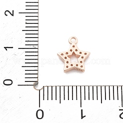 925 Sterling Silver Micro Pave Clear Cubic Zirconia Charms&nbsp;LS-STER-A034-02C-RG