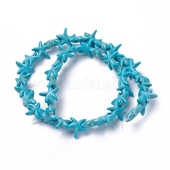 Synthetic Turquoise Beads Strands&nbsp;TURQ-L029-03C