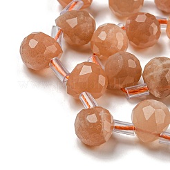 Natural Sunstone Beads Strands&nbsp;G-H297-B14-02