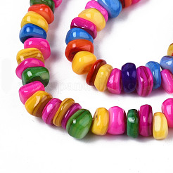 Natural Trochid Shell/Trochus Shell Beads Strands&nbsp;SHEL-S258-081