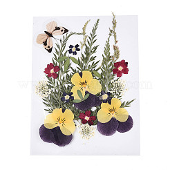 Pressed Dried Flowers&nbsp;DIY-YWC0001-96
