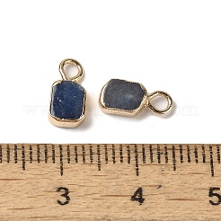 Dyed & Heated Natural Blue Aventurine Rectangle Charms&nbsp;G-Q169-07G-07
