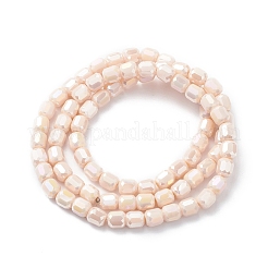 Electroplate Glass Beads Strands&nbsp;EGLA-K015-08B