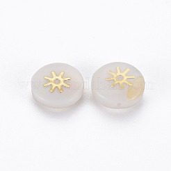 Natural Freshwater Shell Beads&nbsp;SHEL-N003-22-10