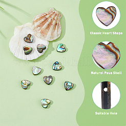10Pcs Natural Abalone Shell/Paua Shell Beads&nbsp;SSHEL-FI0001-05