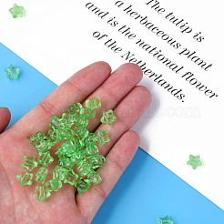 Transparent Acrylic Beads&nbsp;MACR-S373-45-B02