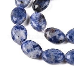 Natural Blue Spot Jasper Beads Strands&nbsp;G-M206-40