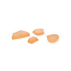 Natural Freshwater Shell Beads&nbsp;X-BSHE-I011-03C