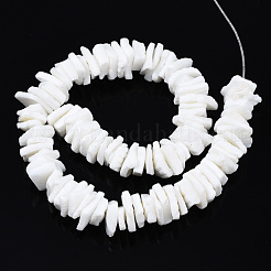 Natural White Shell Beads Strands&nbsp;SSHEL-S266-029