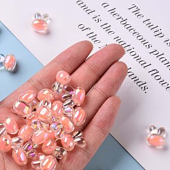 Transparent Acrylic Beads&nbsp;TACR-S152-05B-SS2109