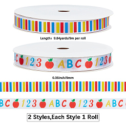 2 Rolls 2 Styles Back to School Polyester Ribbon&nbsp;OCOR-CY0003-75B