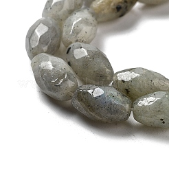 Natural Labradorite Beads Strands&nbsp;G-P520-C08-01