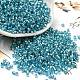 Glass Seed Beads&nbsp;SEED-S042-04A-13-1