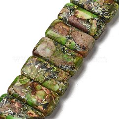 Synthetic Imperial Jasper Beads Strands, Dyed, Rectangle, 2-Hole, Lime Green, 10x20x5mm, Hole: 0.9mm, about 17pcs/strand, 6.89''(17.5cm)