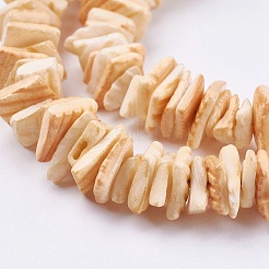 Natural Sea Shell Beads Strands&nbsp;BSHE-K012-08