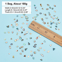 1 Bags Abalone Shell Flakes Cabochons&nbsp;SHEL-GA0001-17A