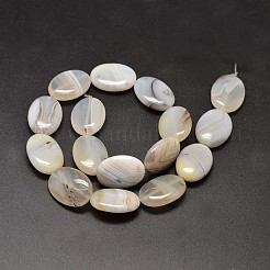Oval Natural Dendritic Agate Bead Strands&nbsp;G-M257-25x18mm-25