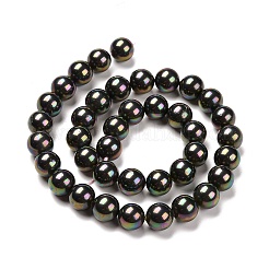 Shell Pearl Bead Strands&nbsp;X-BSHE-L025-05-6mm
