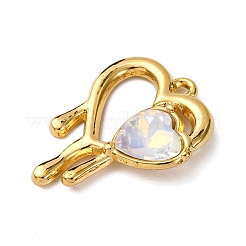 304 Stainless Steel Pendants&nbsp;STAS-L299-21G-05