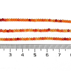 Transparent Glass Beads Strands&nbsp;GLAA-H027-01I