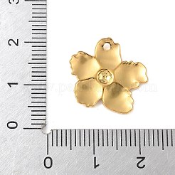304 Stainless Steel Pendants&nbsp;STAS-Q351-07G