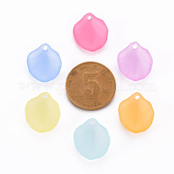 Transparent Frosted Acrylic Pendants&nbsp;MACR-S371-02A