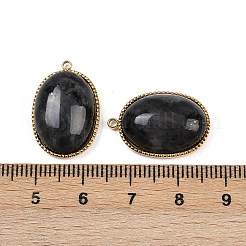Natural Labradorite Pendants&nbsp;STAS-F322-15G-06