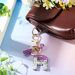 Alloy Resin Heart Keychains&nbsp;KEYC-TADJ0002-01G-R
