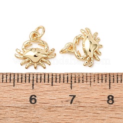 Brass Pendants&nbsp;LS-KK-D019-16B-G